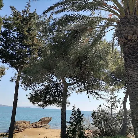 Tatil Evi Alekos Houses-romance Lixouri
